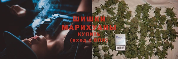 твердый Аркадак