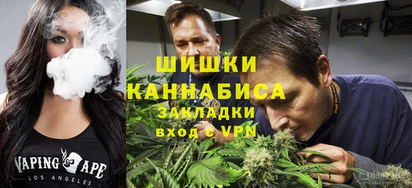 ГАЛЛЮЦИНОГЕННЫЕ ГРИБЫ Алексин