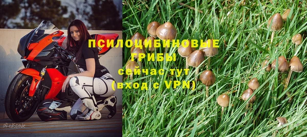 ГАЛЛЮЦИНОГЕННЫЕ ГРИБЫ Алексин