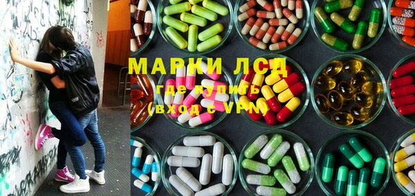 ГАЛЛЮЦИНОГЕННЫЕ ГРИБЫ Алексин
