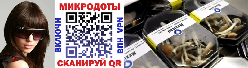хочу наркоту  omg tor  Галлюциногенные грибы прущие грибы  Балей 